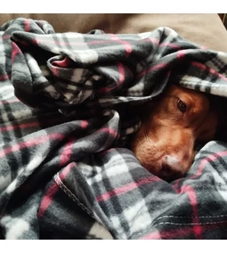 Kész lettek az idei karácsonyi minták