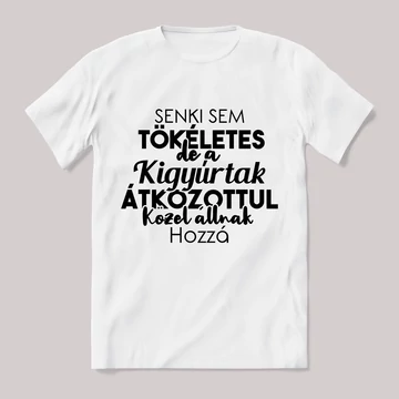 Senki sem tökéletes csak a kigyúrtak. Feliratos fehér póló.