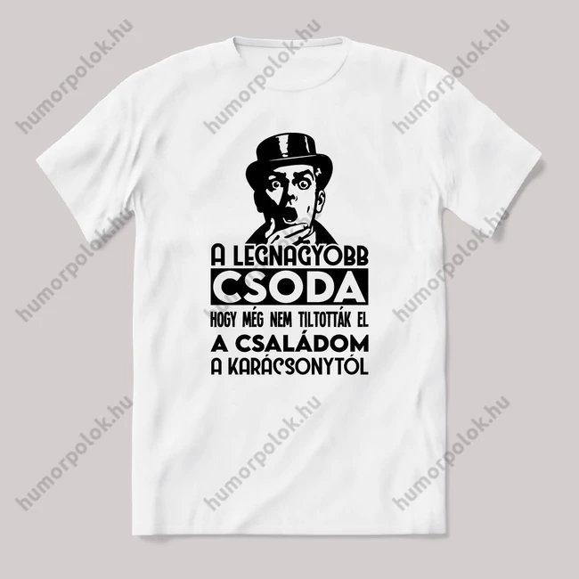 Csoda hogy még nem tiltották el a családom a karácsonytól. Fehér feliratos vicces karácsonyi póló.